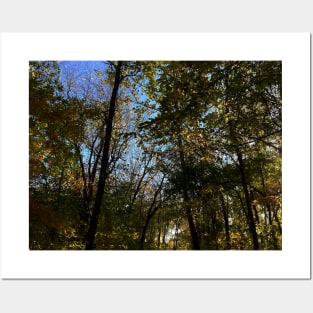 Beautiful Fall Wooded Trail Scene with a Pond - Indian Creek Trail Kansas City Posters and Art